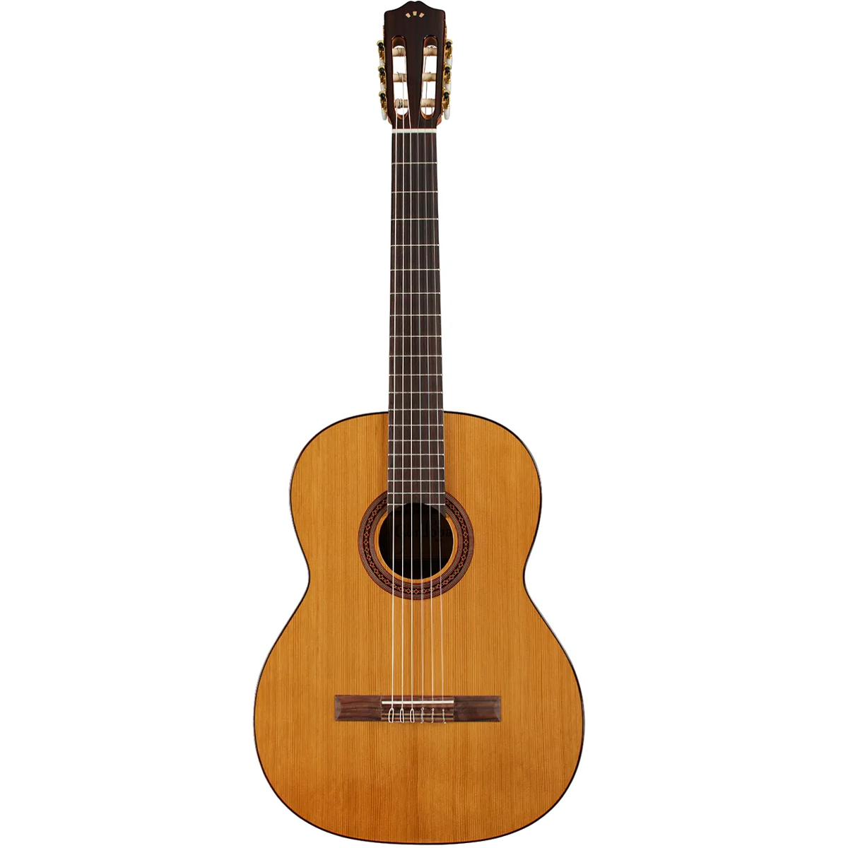 Cordoba C5 CD Cedar Classical Acoustic Guitar in Natural