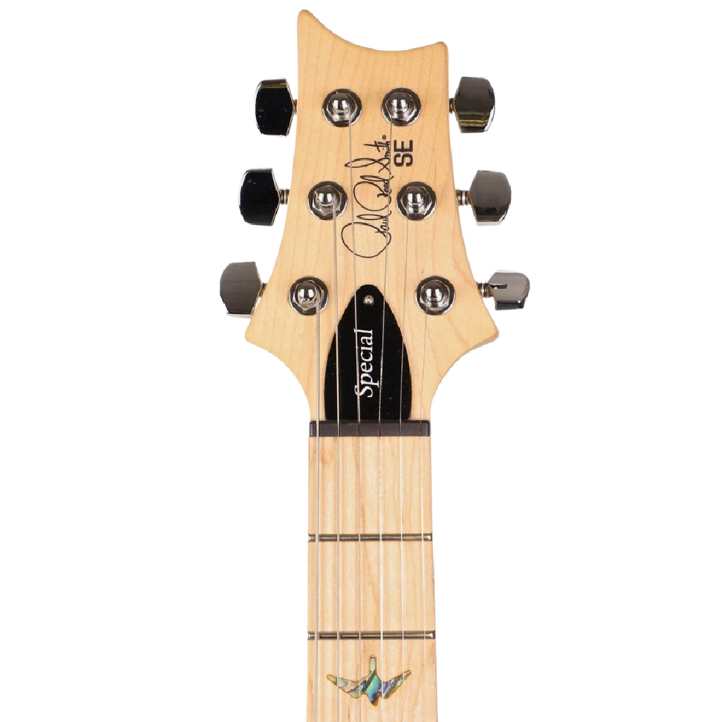 PRS Guitars SE Swamp Ash Special in Vintage Sunburst