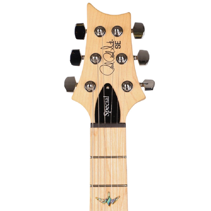 PRS Guitars SE Swamp Ash Special in Vintage Sunburst