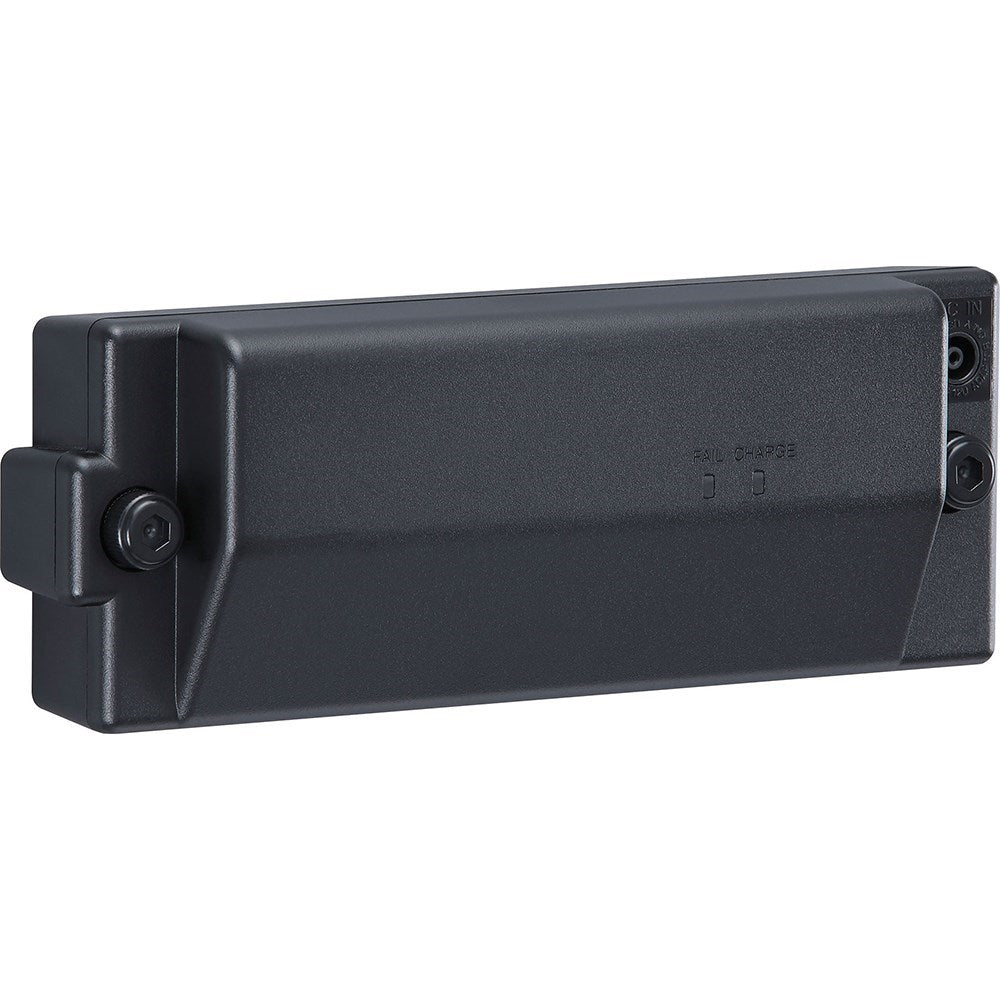 Roland Cube Street EX 2x8" 50W Battery Powered Stereo Amp