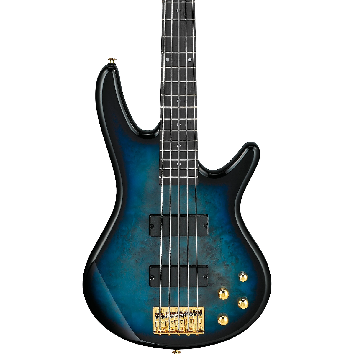 Ibanez GSR205PC 5 String Electric Bass Guitar in Transparent Marine Burst