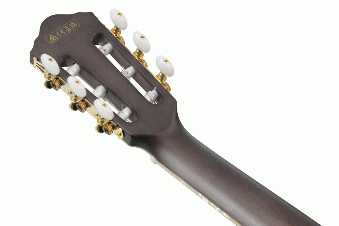 Ibanez TOD10N Tim Henson Signature Nylon String Electric Guitar in Transparent Black Flat
