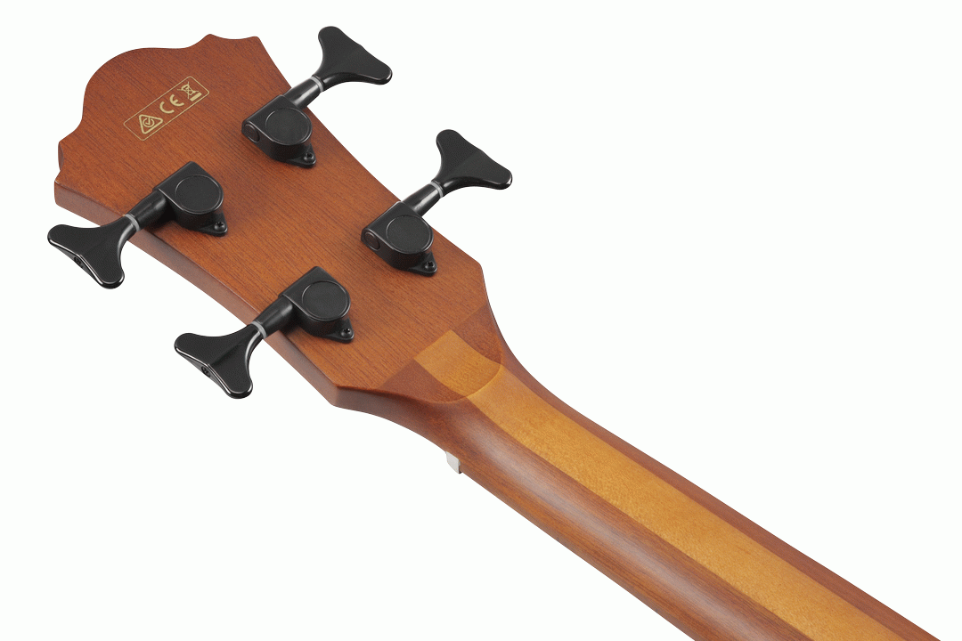 Ibanez AEGB24E Acoustic Bass in Mahogany Sunburst High Gloss