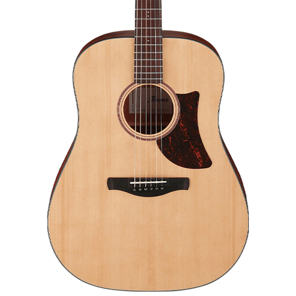 Ibanez AAD100 Acoustic Guitar in Open Pore Natural