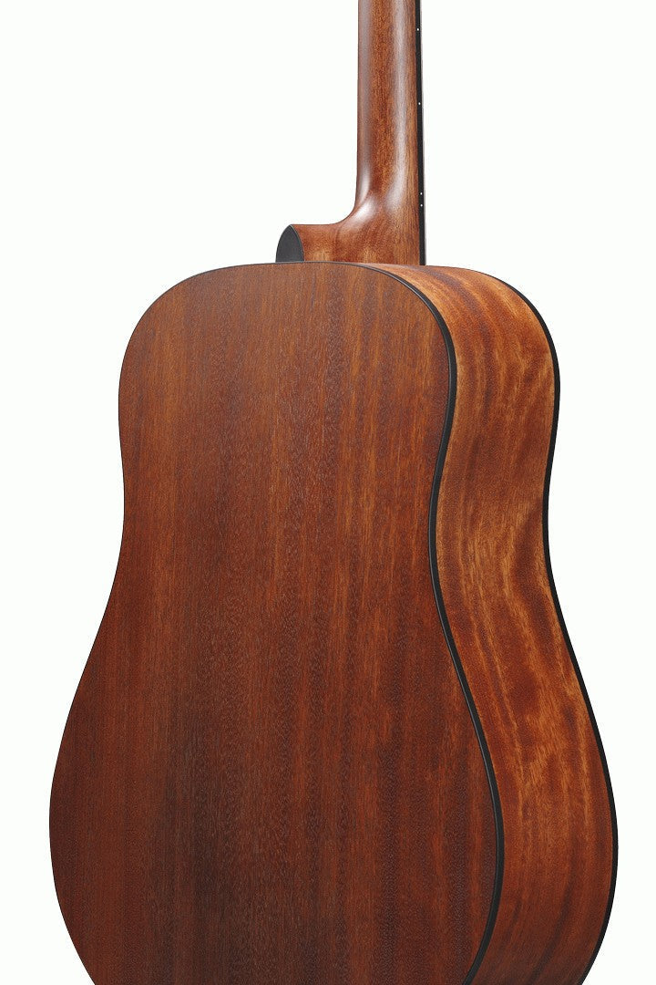 Ibanez AAD100 Acoustic Guitar in Open Pore Natural