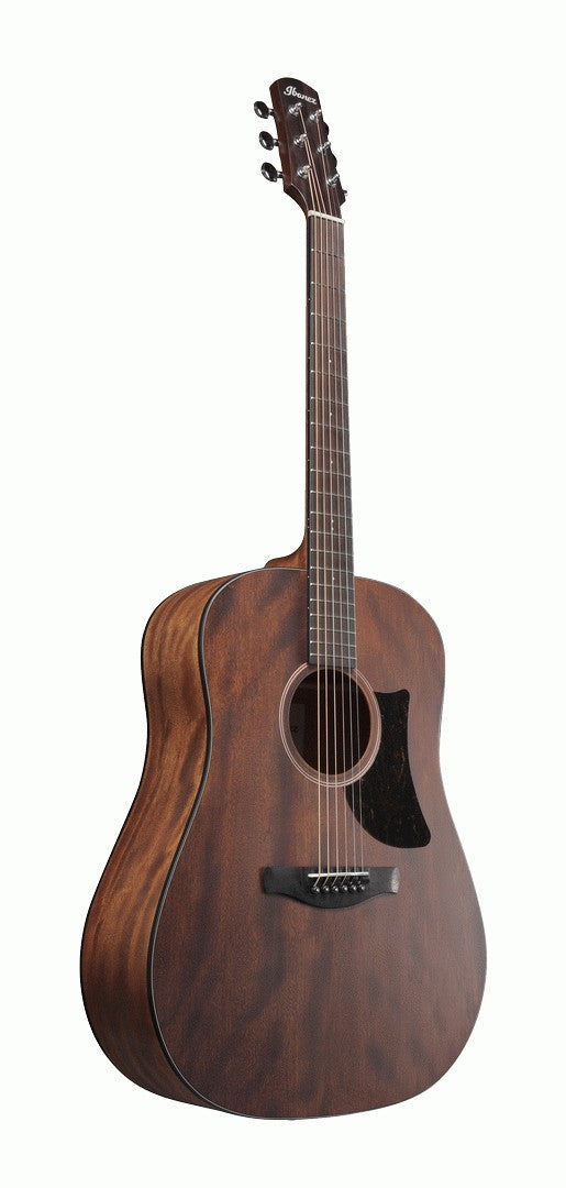 Ibanez AAD140 Acoustic Guitar in Open Pore Natural