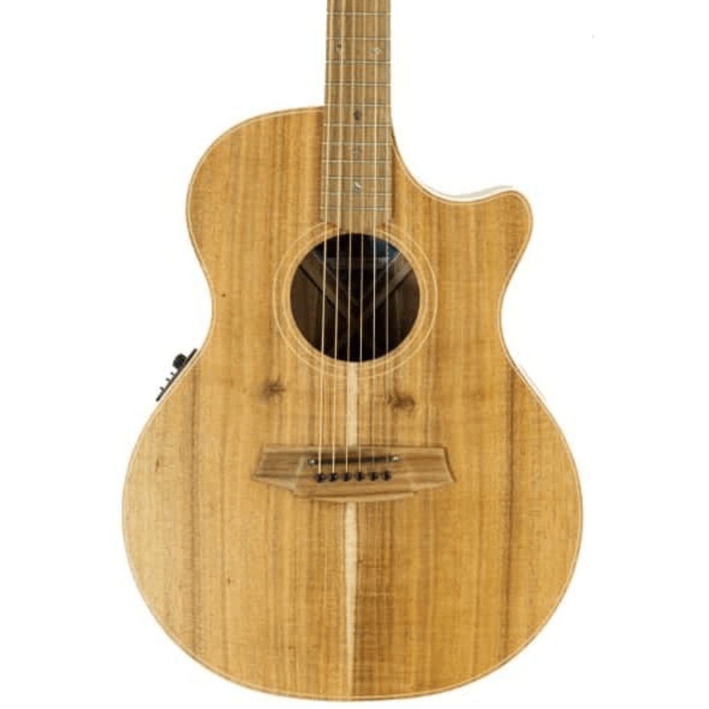 Cole Clark CCAN2EC-BLBL-AE  Blackwood Acoustic Electric Guitar