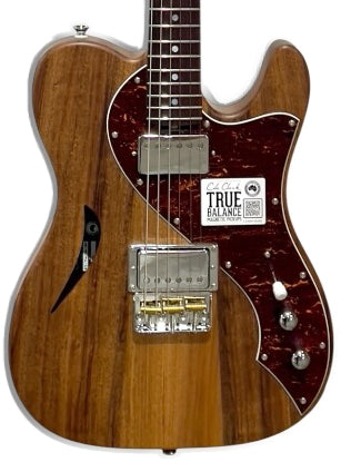 Cole Clark Culprit 3, HH, Tortoise Shell Pickguard in Natural