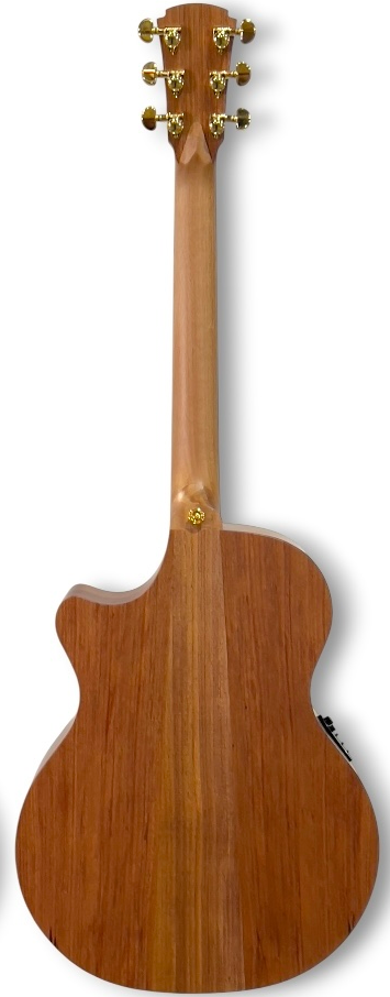 Cole Clark Recording AN2EC Acoustic Electric Guitar in Natural
