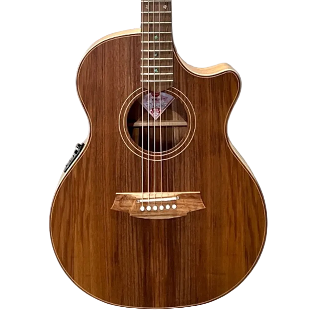 Cole CLark TL2EC-AE Thin Line All Blackwood Electric-Acoustic