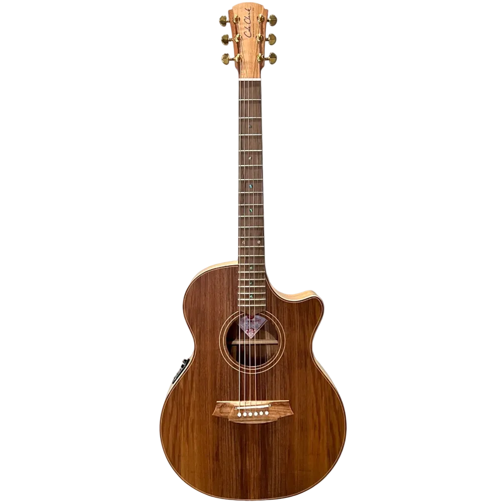 Cole CLark TL2EC-AE Thin Line All Blackwood Electric-Acoustic