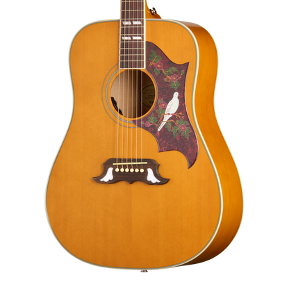 Epiphone Dove Studio Acoustic Electric Guitar in Natural