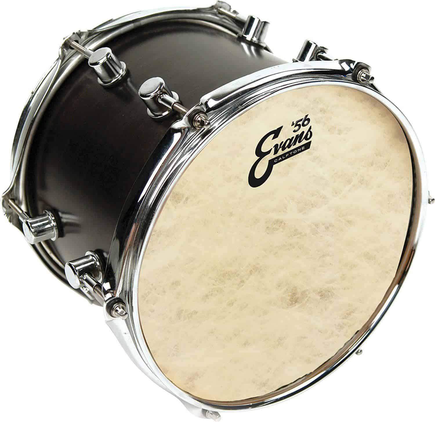 Evans Calftone 8" Tom Drum Head