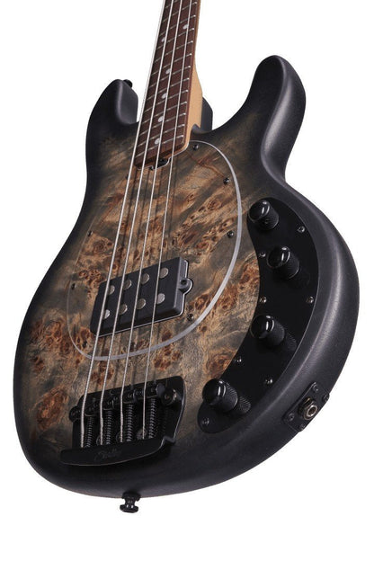 Sterling By Music Man Stingray 4 Poplar Burl Top in Trans Satin Black