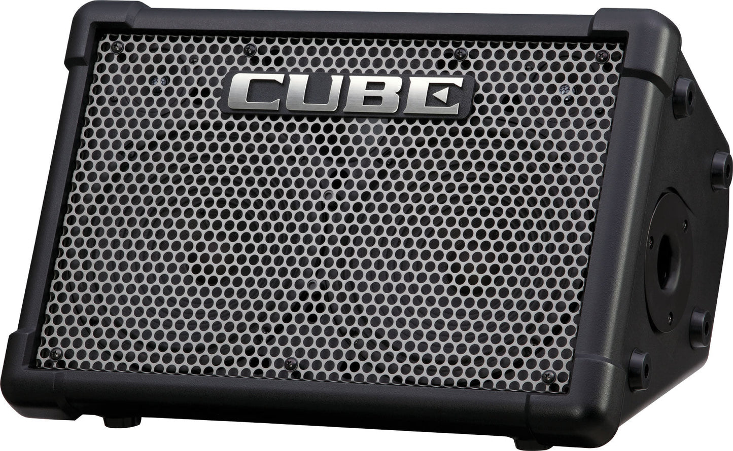 Roland CUBE Street EX 2x8" 50W Battery Powered Stereo Amp