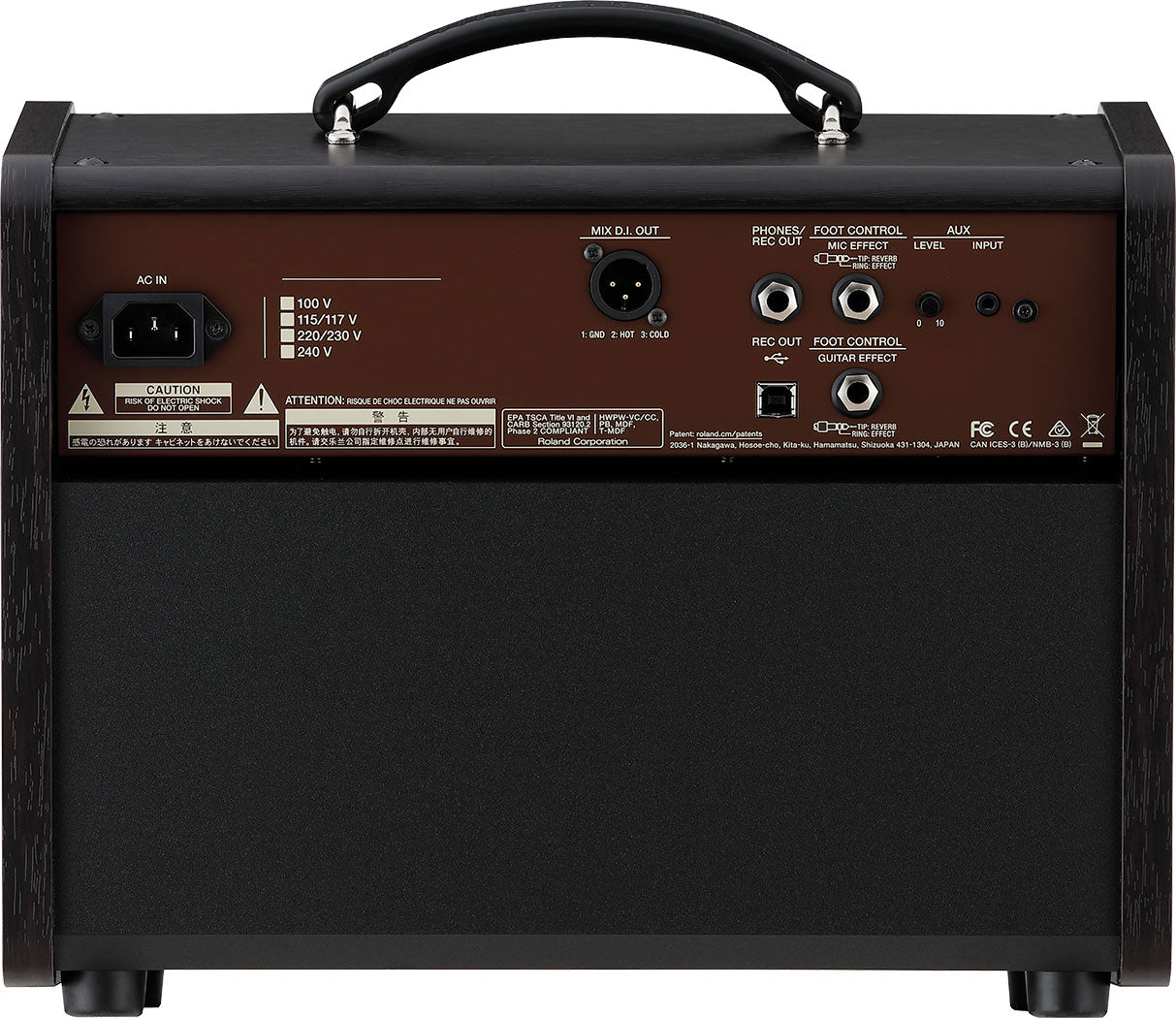 BOSS Acoustic Singer Live LT 1x6.5" 60W Acoustic Amp