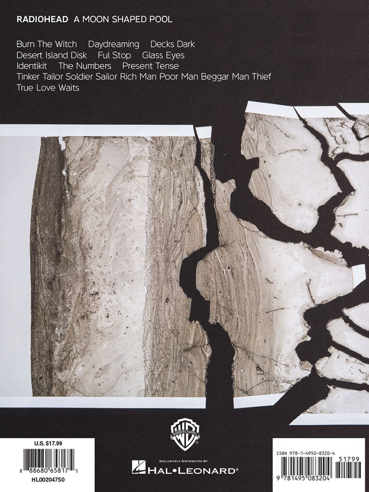 Radiohead A Moon Shaped Pool PVG