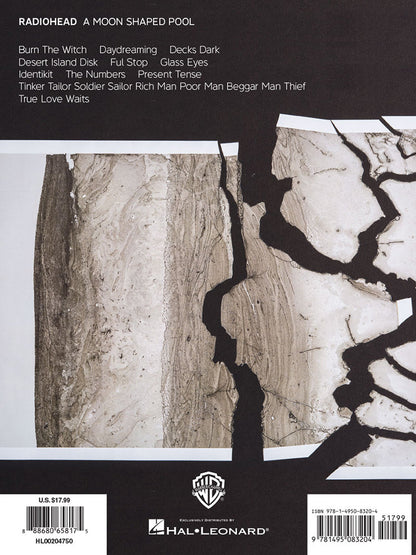 Radiohead A Moon Shaped Pool PVG