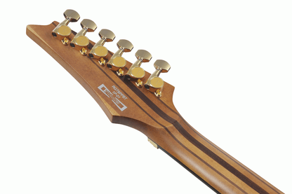 Ibanez RGT1220PB Premium Electric Guitar in Antique Brown Stained Flat