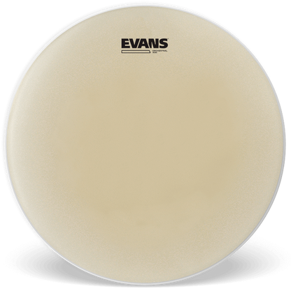 Evans Orchestral 300 Clear Snare Side 14" Drum Head