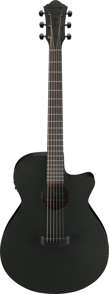 Ibanez AEG621 Electric Acoustic Guitar in Black Out