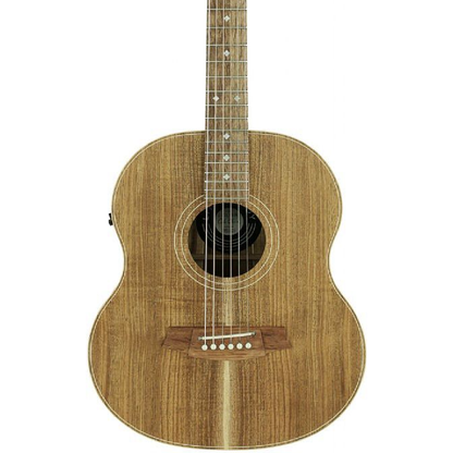 Cole Clark LL2E-BLBL-AE in Natural Satin