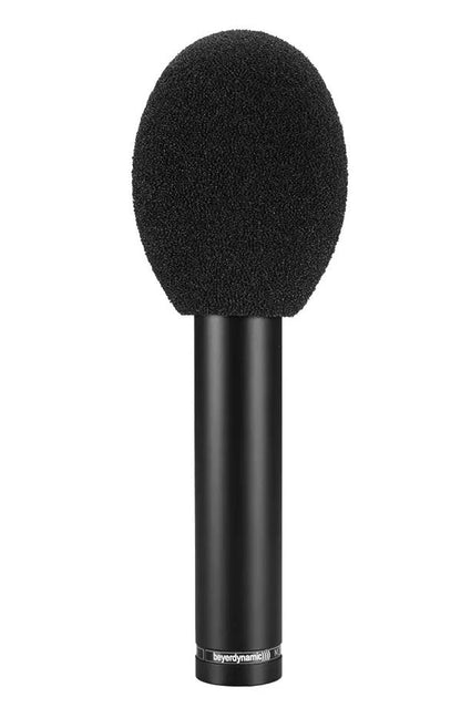 Beyerdynamic *DISC* M 201 TG Hypercardioid Dynamic Microphone