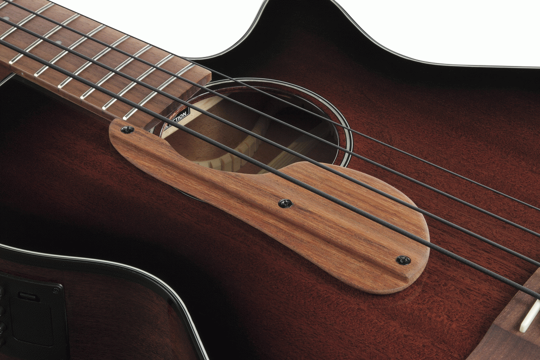 Ibanez AEGB24E Acoustic Bass in Mahogany Sunburst High Gloss