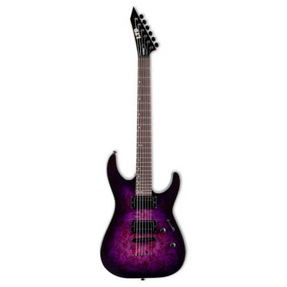 ESP LTD M-200DX NT Electric Guitar in Purple Burst