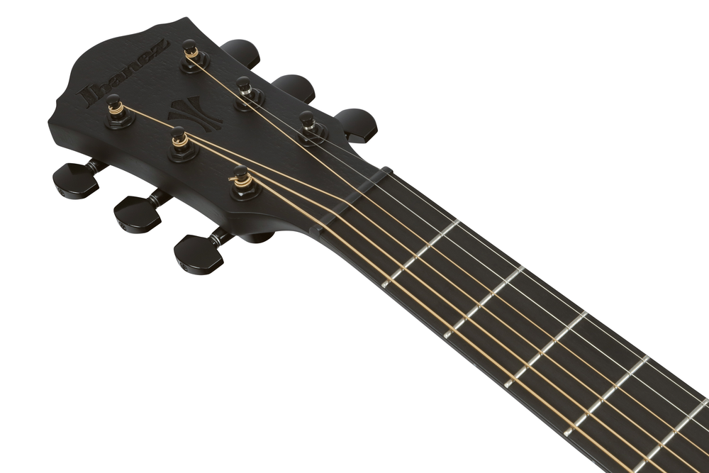 Ibanez AEG621 Electric Acoustic Guitar in Black Out