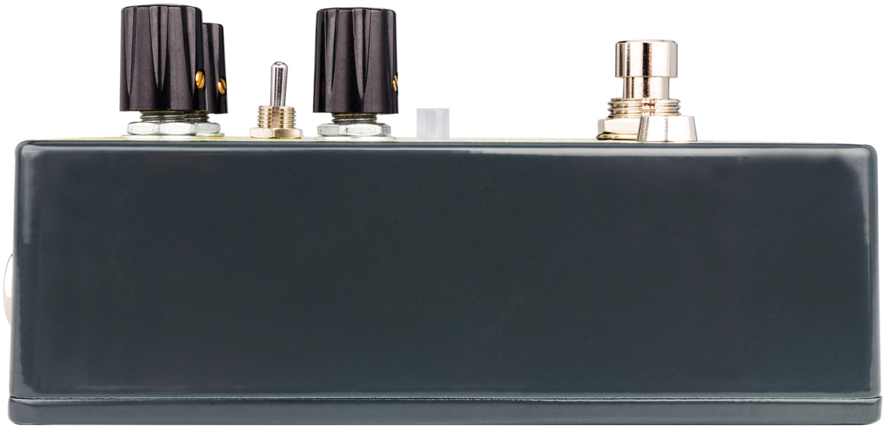 EarthQuaker Devices Ledges Tri-Dimensional Reverb Pedal