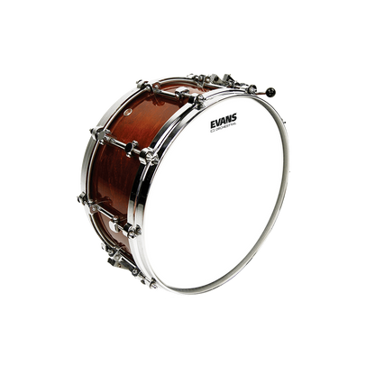 Evans Orchestral 13" Snare Batter
