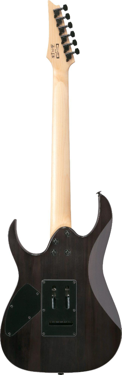 Ibanez GRG120QASP Electric Guitar in Black Gradation