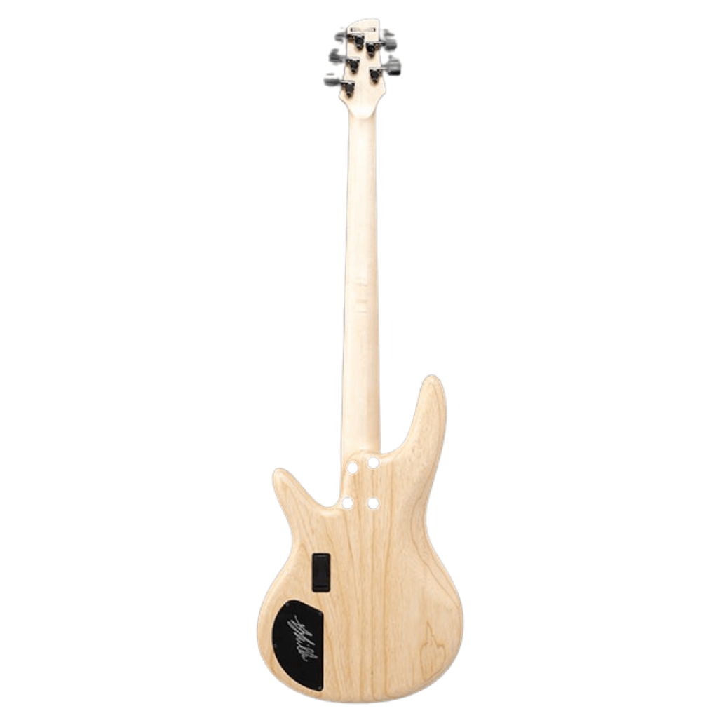 Ibanez GWB1005 Gary Willis Signature Bass 5 String in Natural Flat