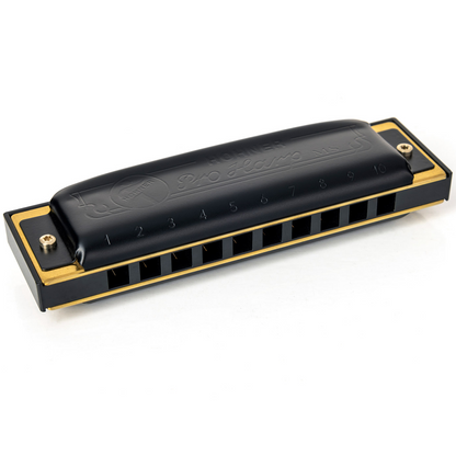 Hohner MS Series Pro Harp 10 Hole Harmonica Db