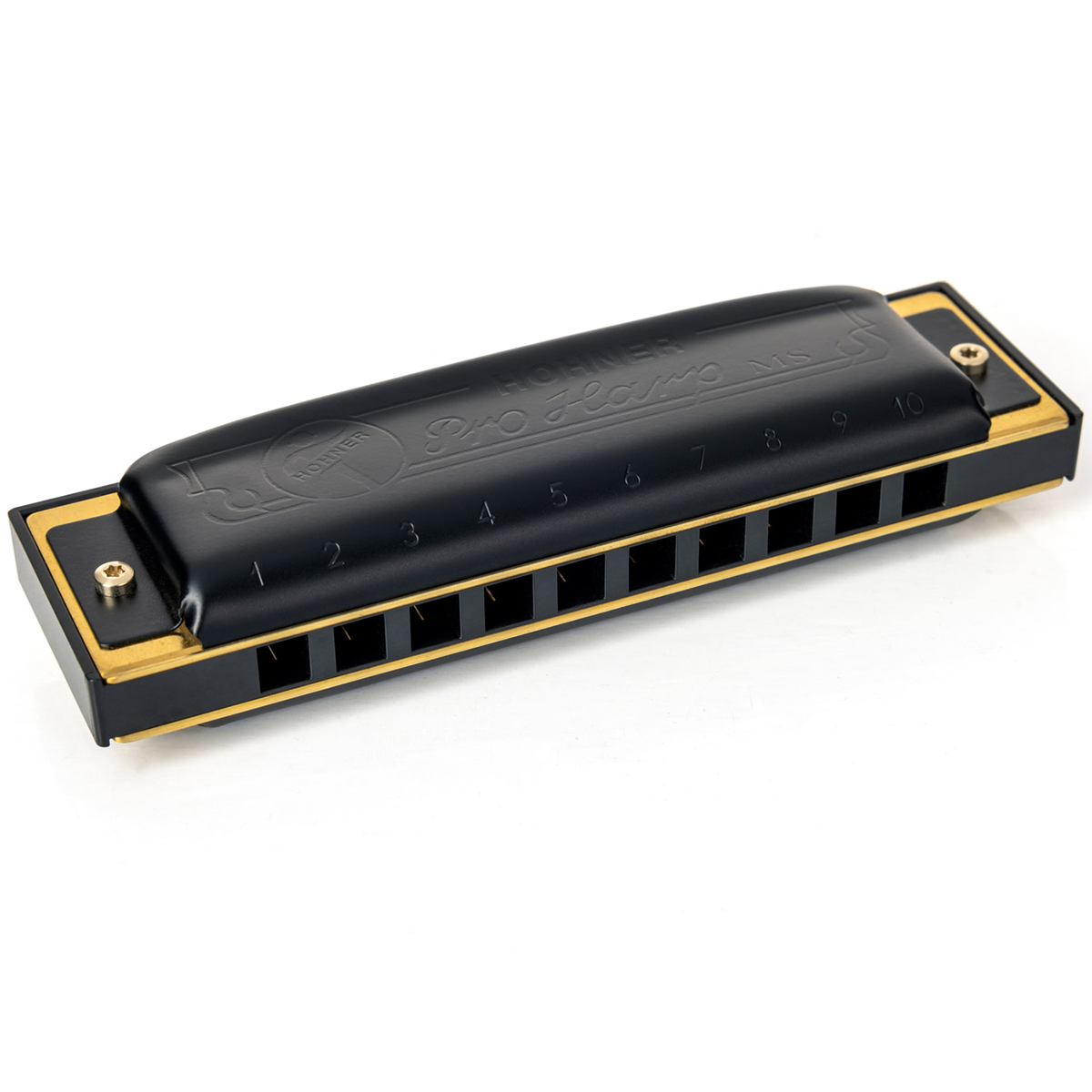 Hohner MS Series Pro Harp 10 Hole Harmonica D