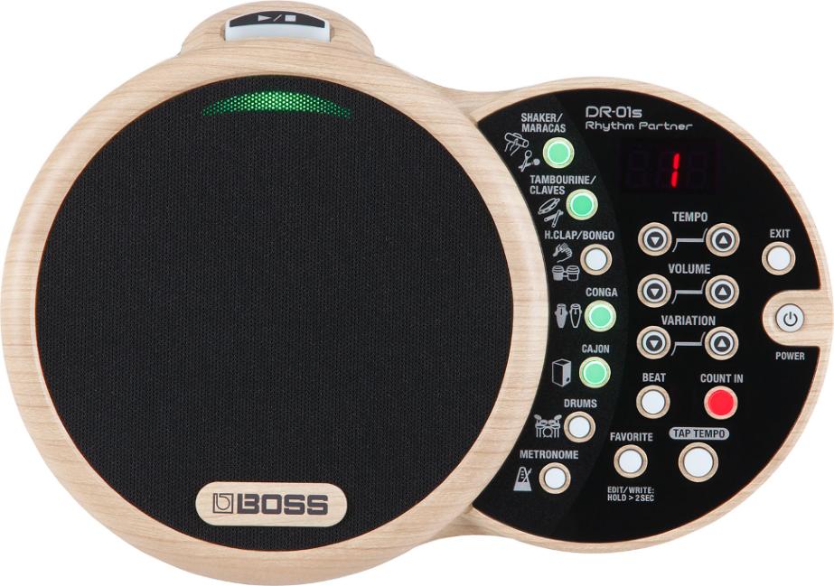 Boss DR01S Rhythm Partner Groove Machine