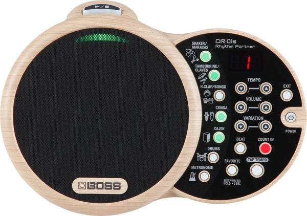Boss DR01S Rhythm Partner Groove Machine
