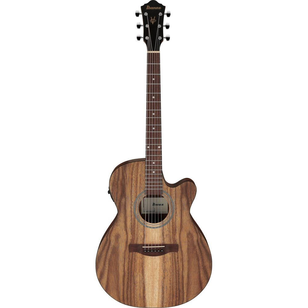 Ibanez VC40WSCE Acoustic Guitar in Open Pore Brown