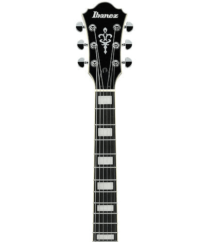 Ibanez AS73 in Olive Metallic