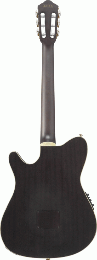 Ibanez TOD10N Tim Henson Signature Nylon String Electric Guitar in Transparent Black Flat