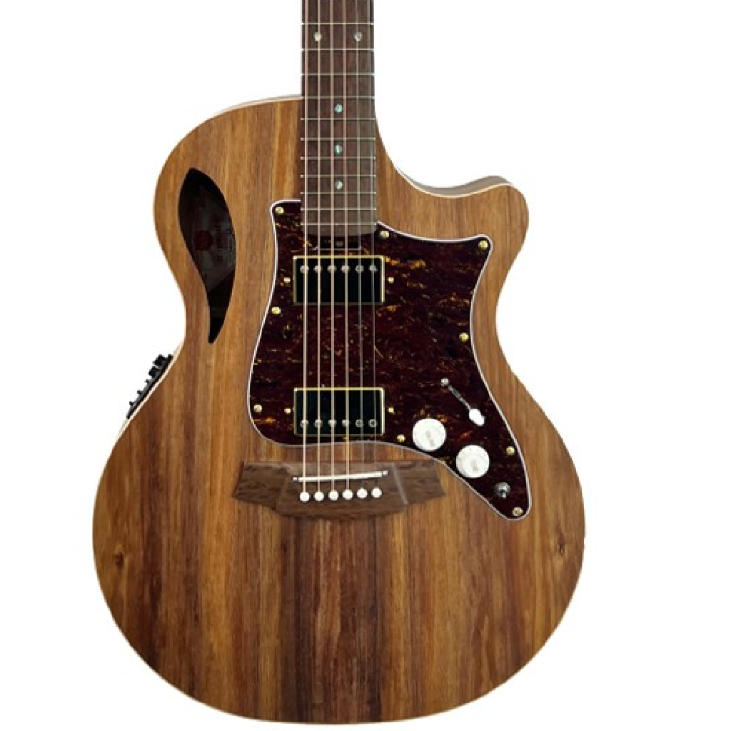 Cole Clark TL2EC-BLBL-AE-HH True Hybrid Model in Natural