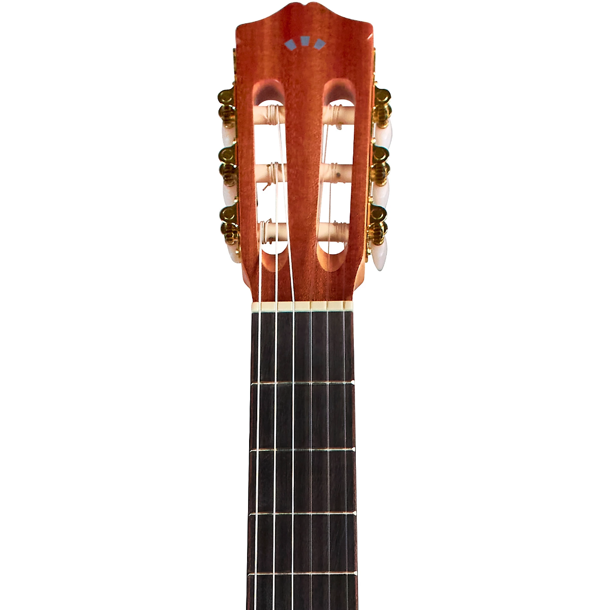 Cordoba Protege C1 Gloss Classical Guitar in Natural