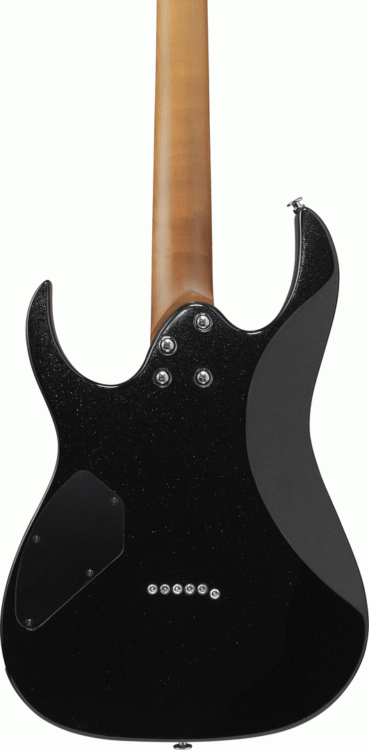 Ibanez RG121SP Electric Guitar in Black Night