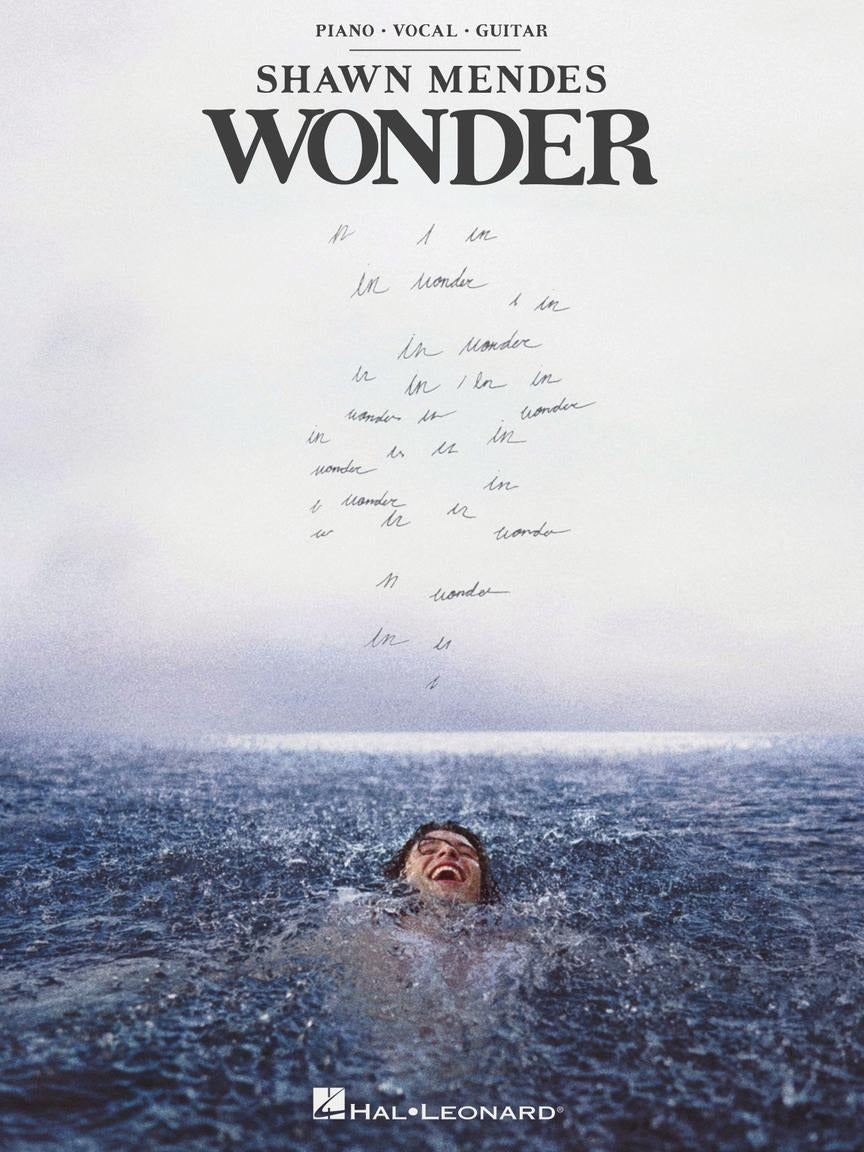 Shawn Mendes Wonder PVG