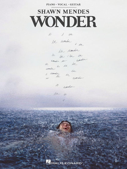Shawn Mendes Wonder PVG
