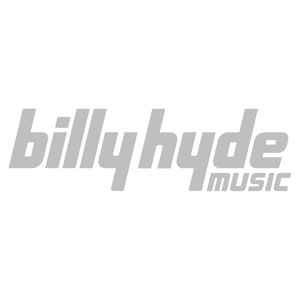 100 YEARS OF POPULAR MUSIC 20S VOL 2 PVG