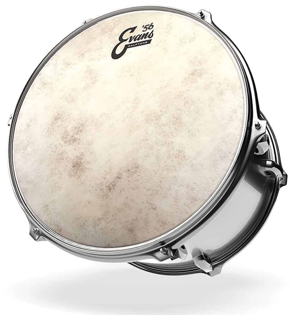 Evans Calftone 14" Tom Drum Head