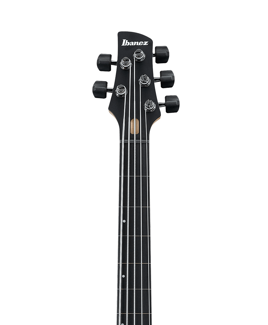 Ibanez GWB1005 Gary Willis Signature Bass 5 String in Natural Flat