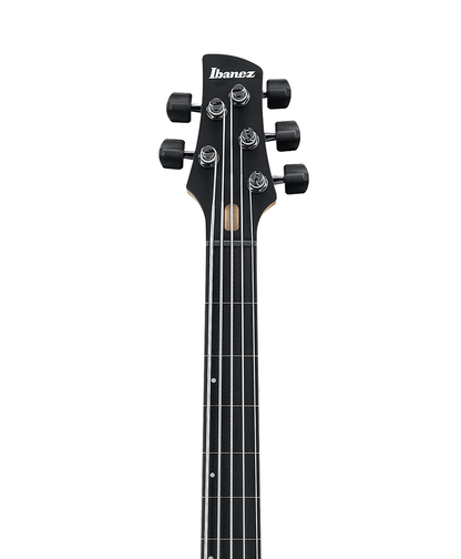 Ibanez GWB1005 Gary Willis Signature Bass 5 String in Natural Flat
